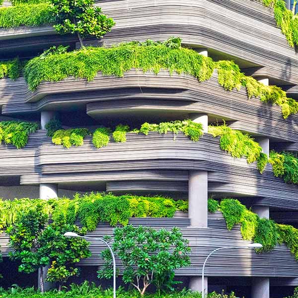 How urban greening can help cool down cities | Zixty